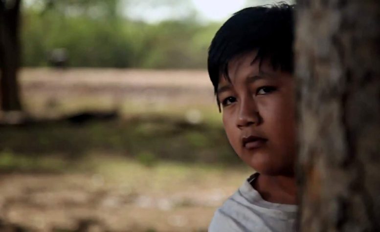 un niño de aproximadamente 10 años se asoma desde atrás de un árbol